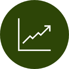 Margin & Profitability